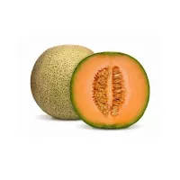 الكرمه شهد
