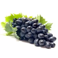 الكرمه عنب اسود
