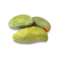 الكرمه مانجو صديقة