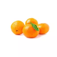 الكرمه يوسفي