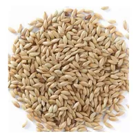 فلارس 250جم