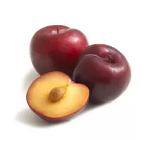 الكرمه برقوق هوليود