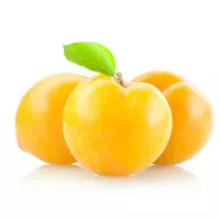 الكرمه برقوق اصفر