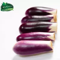 الكرمه عروس محشي ابيض