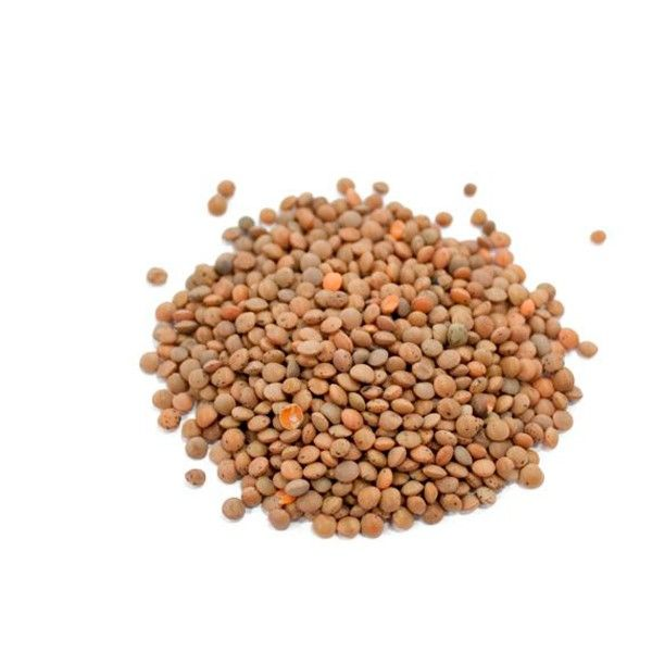 عطارة عدس بنى (بجبه)