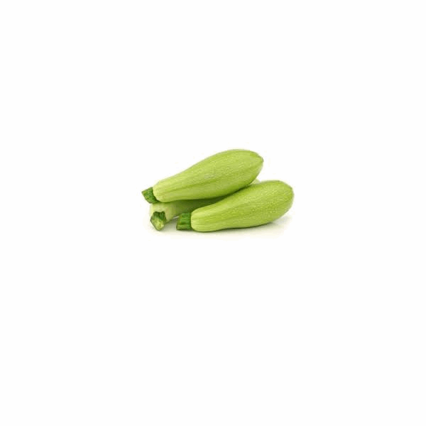 خضروات الكرمه كوسة